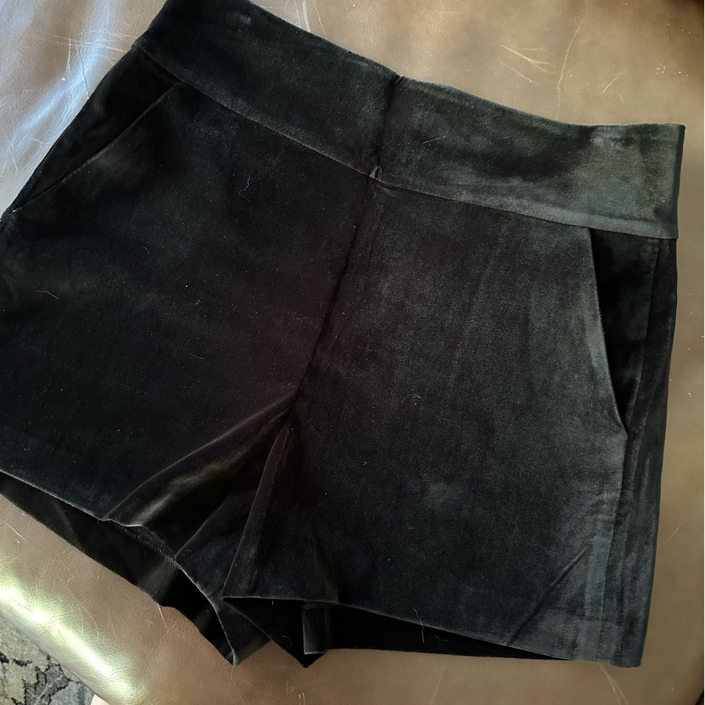 Alice & Olivia Black Suede Shorts (Velvet)